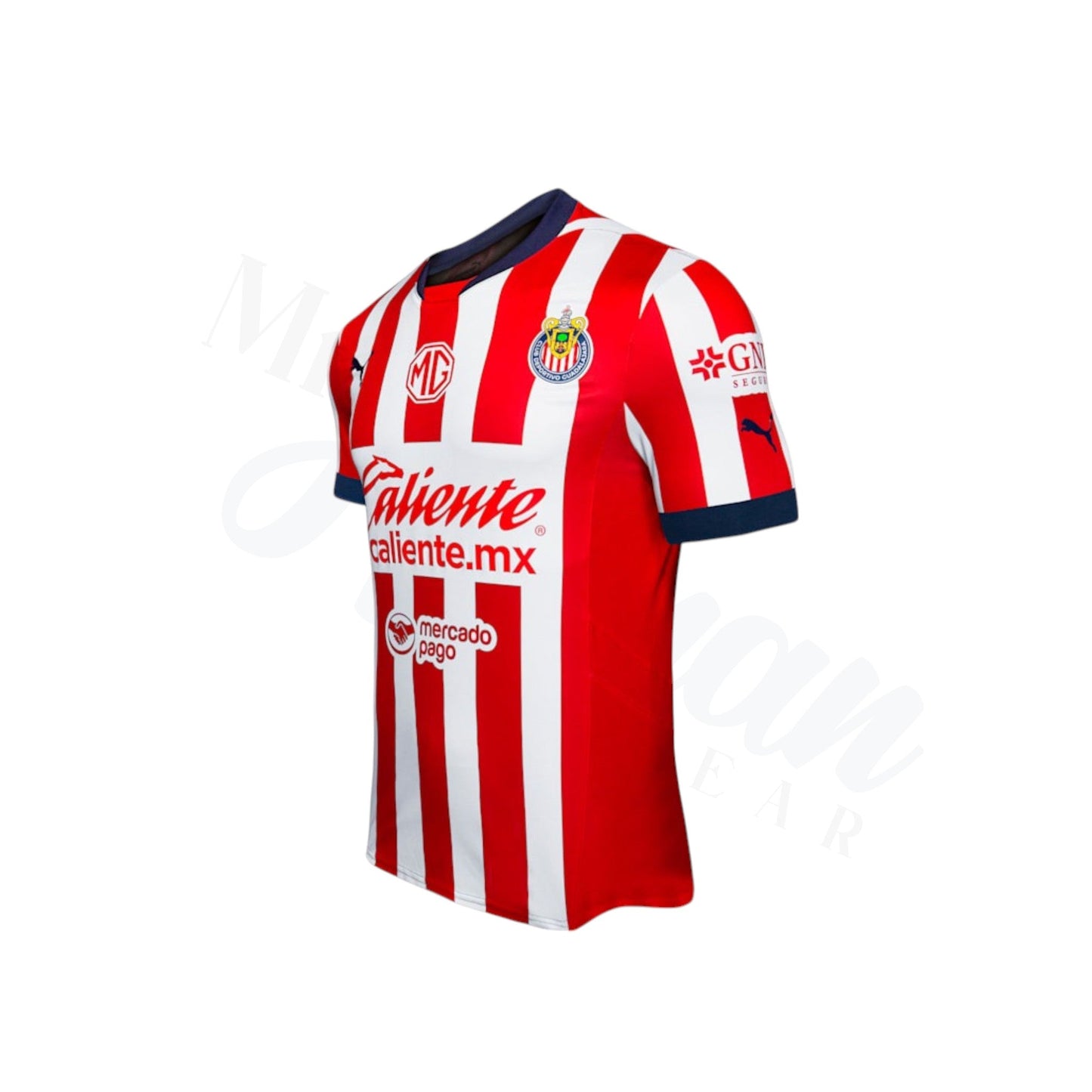 Chivas 24/25 Fan Edition Soccer Jersey