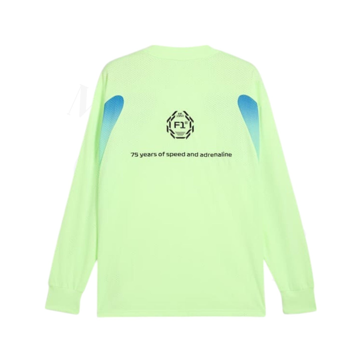 Oversized F1® Men's Tee with Bold Graphics